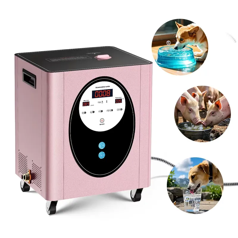 Suyzeko Biohacking Longevity W - Health Wellness Longevity บทวิจารณ์และราคา