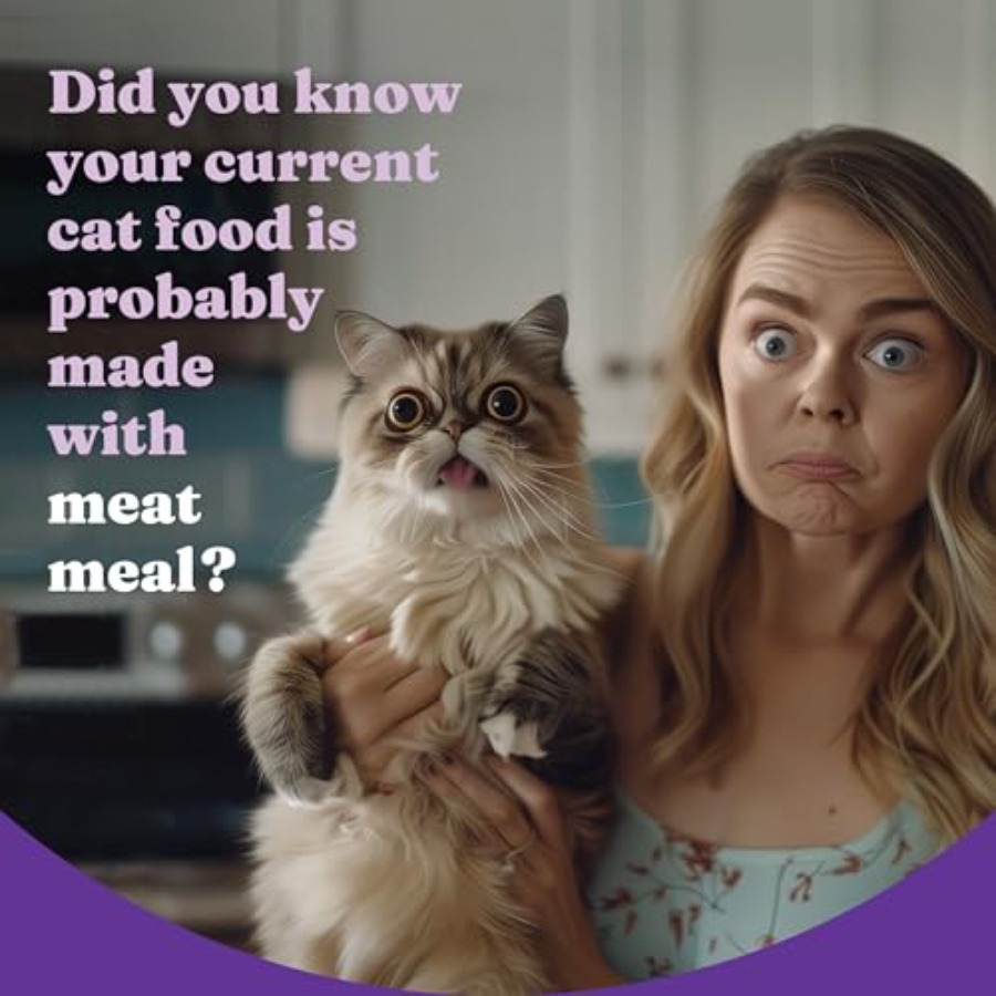Holistic Cat Food Wild Caught  - Holistic Health & Wellness บทวิจารณ์และราคา