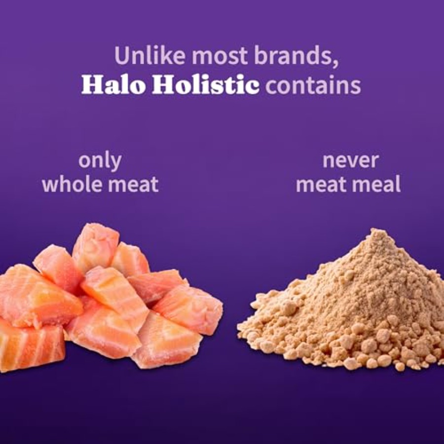 Holistic Cat Food Wild Caught  - Holistic Health & Wellness บทวิจารณ์และราคา