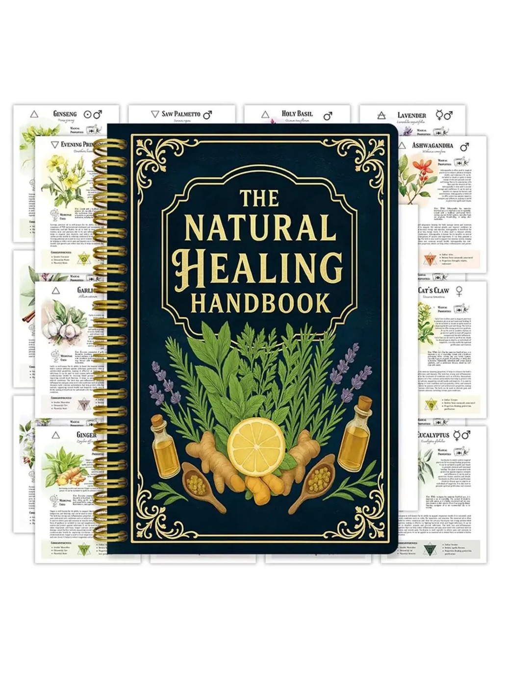 2026 Natural Healing Handbook  - Holistic Health & Wellness บทวิจารณ์และราคา