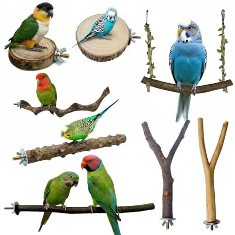 8PCS natural wood bird perches - Health & Wellness Quotes Inspirational บทวิจารณ์และราคา