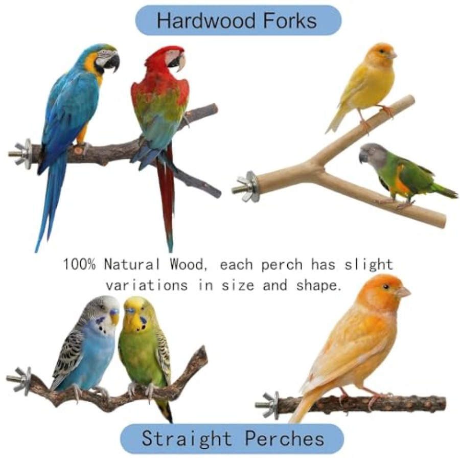 8PCS natural wood bird perches - Health & Wellness Quotes Inspirational บทวิจารณ์และราคา