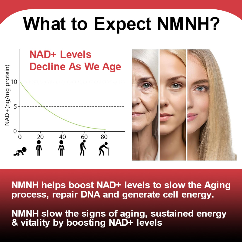 Advanced NMNH 500mg Supplement - Holistic Health & Wellness บทวิจารณ์และราคา
